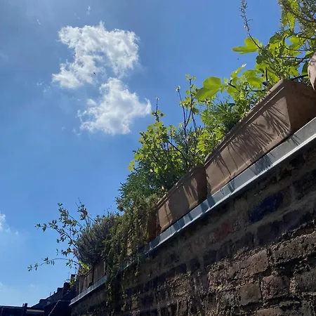 公寓 Zehuus Mit Domblick Und Dachterrasse