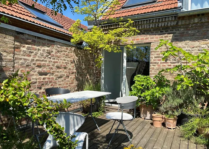 Zehuus Mit Domblick Und Dachterrasse *