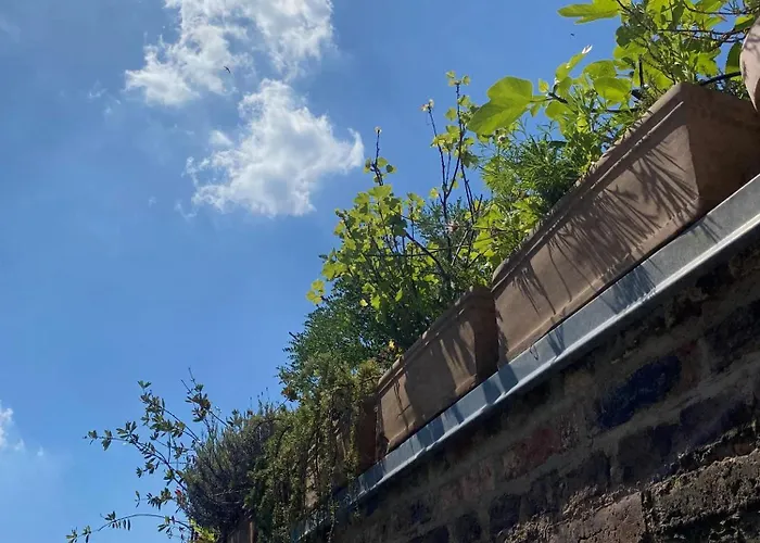 Daire Zehuus Mit Domblick Und Dachterrasse