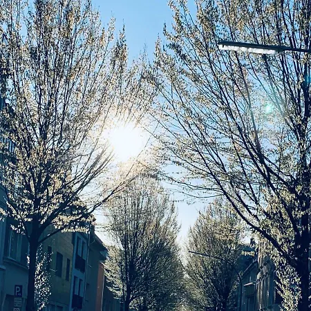 Zehuus Mit Domblick Und Dachterrasse Kolonia