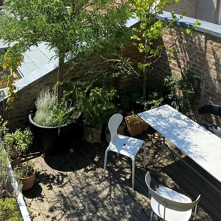 Zehuus Mit Domblick Und Dachterrasse
