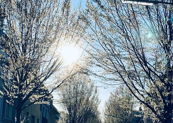 Zehuus Mit Domblick Und Dachterrasse Colónia