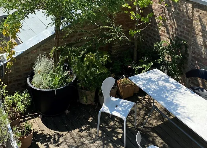 Zehuus Mit Domblick Und Dachterrasse